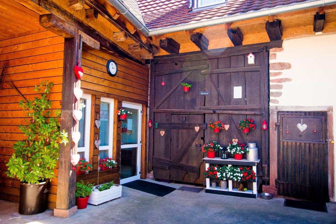 Au Murier Goxwiller Exterior photo